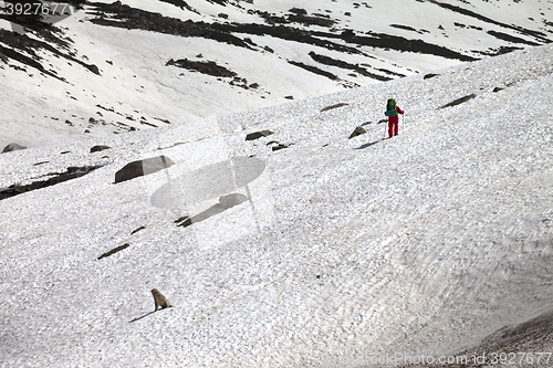 Image of Hiker and dog in snowy mountains at spring