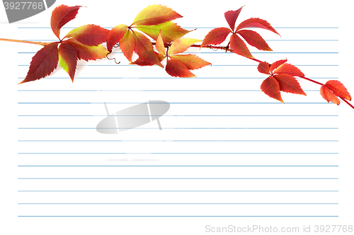 Image of Red autumn branch of grapes leaves on notebook paper