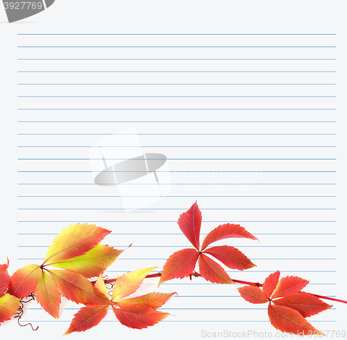 Image of Multicolor branch of grapes leaves on notebook paper