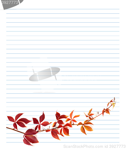 Image of Red branch of grapes leaves on notebook paper