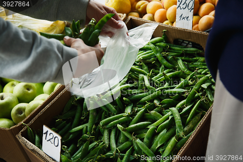 Image of the female lays pea pods in a package