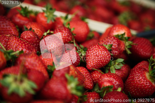 Image of strawberry rests in a box