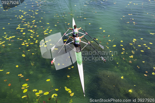 Image of Two rowers  rowing