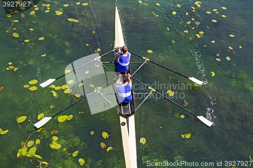 Image of Two rowers  rowing