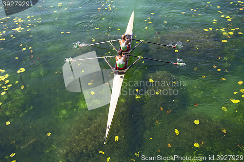 Image of Two rowers  rowing