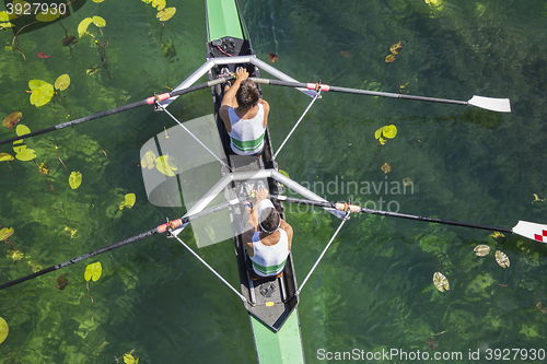 Image of Two rowers  rowing