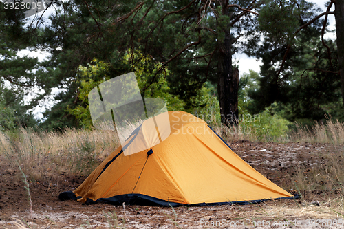 Image of Orange tent in forest