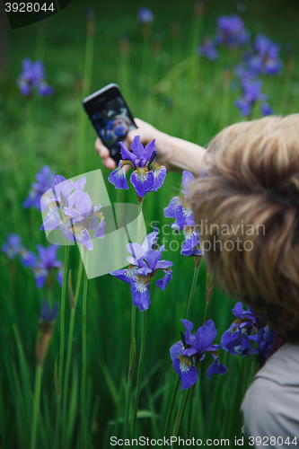 Image of woman photographs herself in the flowers of iris