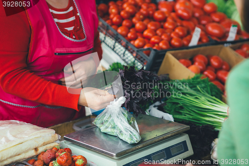 Image of the seller sells fresh Basil leaves