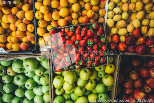 Image of fruits and berries are in cardboard boxes