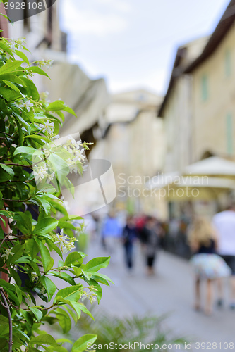 Image of Flower with blurred houses and people