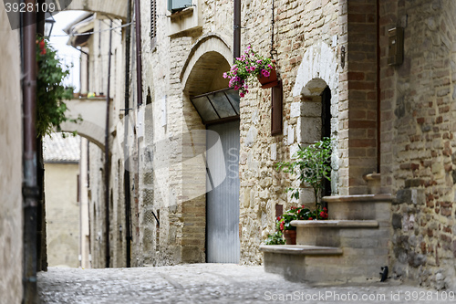 Image of Narrow street in Montefalco