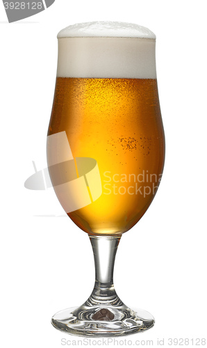 Image of glass of beer