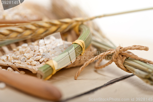 Image of organic barley grains