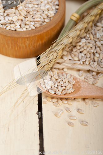 Image of organic barley grains