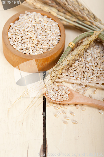 Image of organic wheat grains 