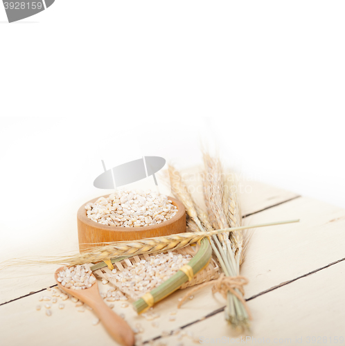 Image of organic wheat grains 