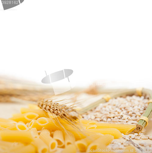 Image of Italian pasta penne with wheat