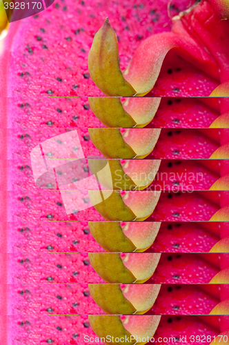 Image of fresh dragon fruit 