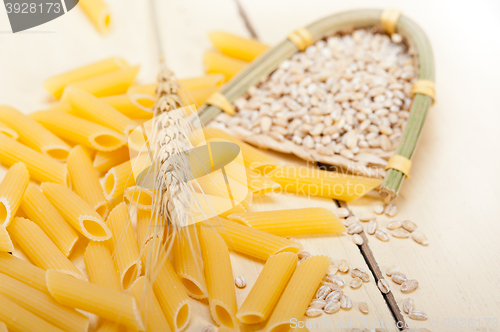 Image of Italian pasta penne with wheat