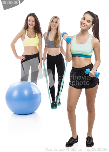 Image of Girls in the Gym