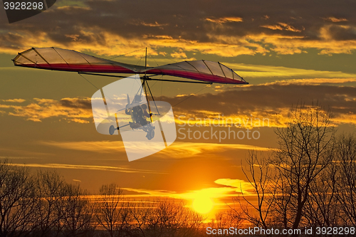 Image of Hang glider fly in the sunset 