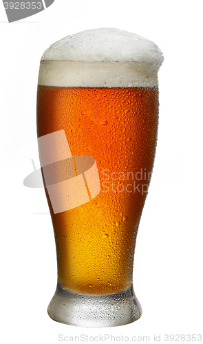 Image of glass of beer