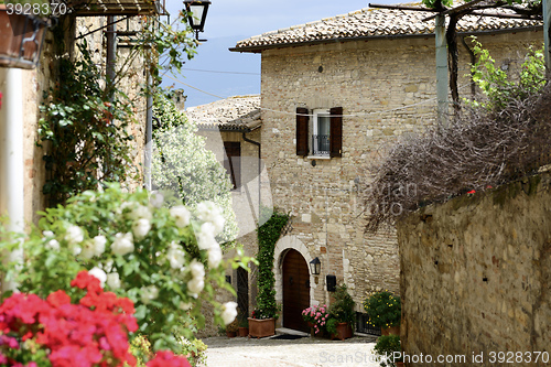 Image of Public street in Montefalco