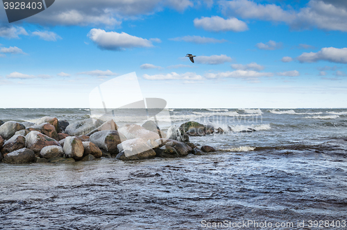 Image of Sea waves breaking on the rocks, seascape