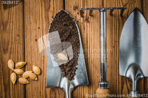 Image of Still-life with seeds and the garden tool, the top view