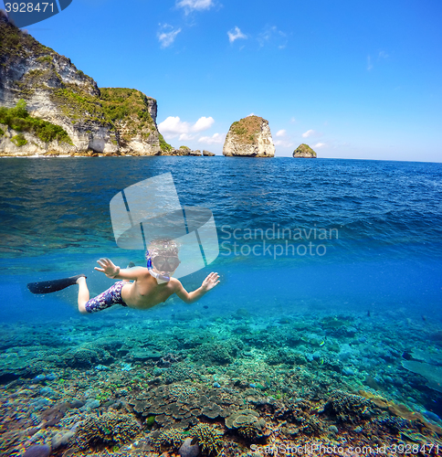 Image of Underwater and surface split view in the tropics