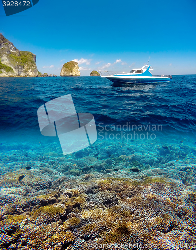 Image of Underwater and surface split view in the tropics