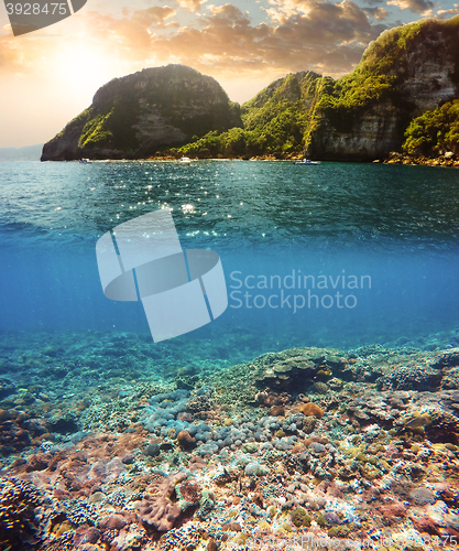 Image of Underwater and surface split view in the tropics