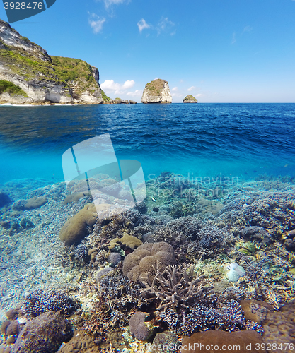 Image of Underwater and surface split view in the tropics