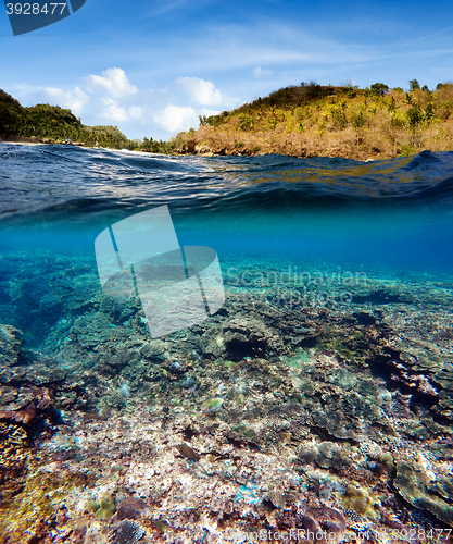 Image of Underwater and surface split view in the tropics