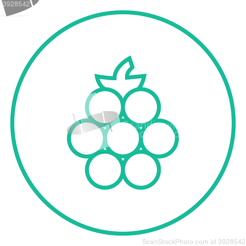Image of Raspberry line icon.