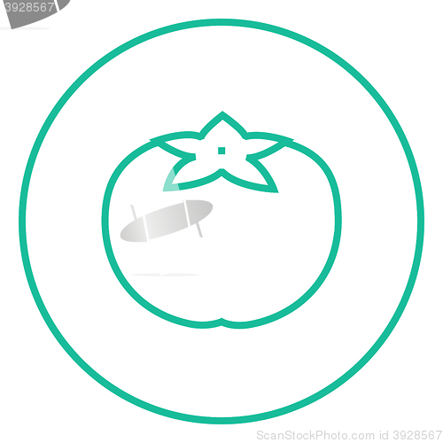 Image of Tomato line icon.