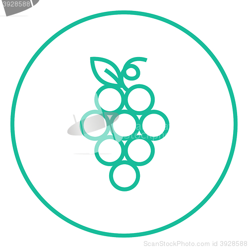 Image of Bunch of grapes line icon.