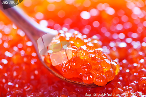 Image of red salmon caviar