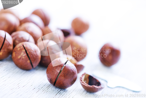 Image of macadamia