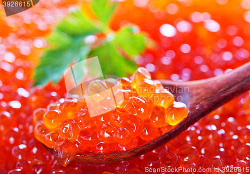 Image of red salmon caviar
