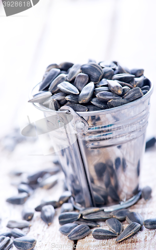 Image of sunflower seed