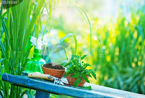 Image of gardening utensil