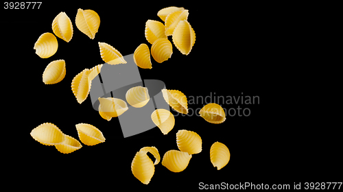 Image of Falling conchiglie pasta. Flying yellow raw macaroni over black background.