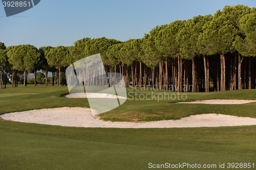 Image of golf course on sunny day