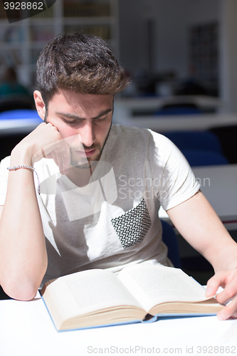 Image of student study  in school library