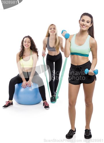 Image of Girls in the Gym