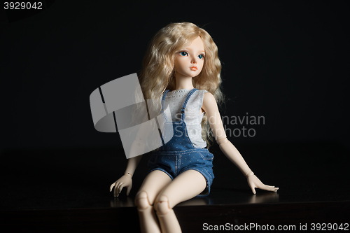 Image of doll on a light background.