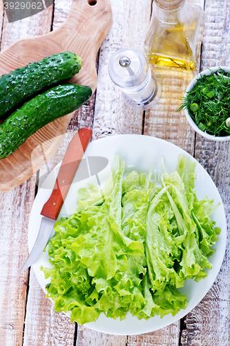 Image of fresh lettuce