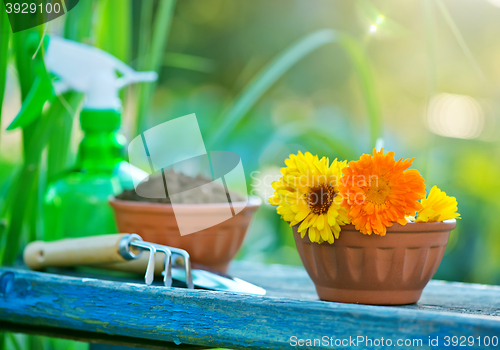 Image of garden tools